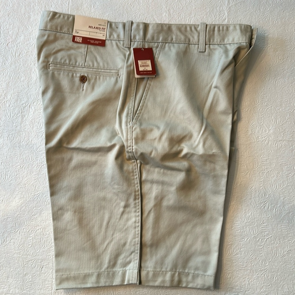 Shorts by Gap.  Brand new.